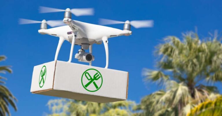 Wendy’s and Door Dash Tell Drivers To Park It: Drones Have It Now Wendy’s and Door Dash Tell Drivers To Park It: Drones Have It Now