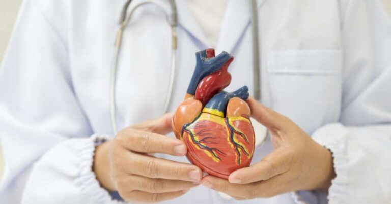 Trendy Weight-Loss Drugs Found to Shrink Human Heart Muscles