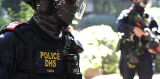 Robert P. Alvarez / Shutterstock.com