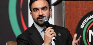 lev radin / Shutterstock.com